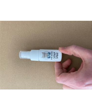 Kater Kasimir Catnip Spray for Scratching Post | 100% Natural & Additive-Free Catnip Spray - International Shipping Available - Buy Online on GoSupps.com