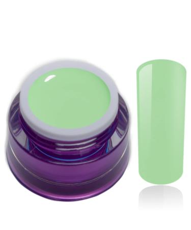 Color Gel Young Neon Pastel Green Mint Uv Led Nail Gel Studio Quality Color Gel RM Beautynails 1 Pack (1x 5ml)