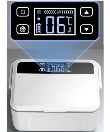 Portable Medical Insulin Travel Cooler Rechargeable Mini Car Medicine Refrigerator for Storage Diabetic Medicine (Color : 4batteries) - Buy Online on GoSupps.com