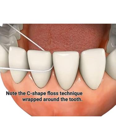 Eco-Friendly Refillable Bamboo Charcoal Dental Floss - Vegan Cruelty-Free Natural Waxed Peppermint (3x40m - Buy Online on GoSupps.com