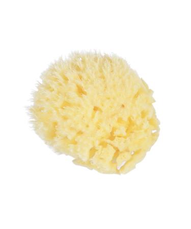 Angoily Natural Sea Sponges Soft Bath Sponges Body Puff Scrubber Used in Bath Shower Cleansing Exfoliating