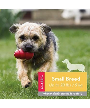 KONG Classic Dog Toy - Durable Rubber Chew & Fetch Toy for Small Dogs - Buy Online on GoSupps.com