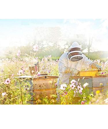 Propolis Facial Masks - Firm Hydrated Skin | 8 Bottles (10ml Each) - International Shipping Available - Buy Online on GoSupps.com