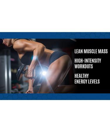 STS Creatine 300g - 100% Pure Creatine Monohydrate Powder for Muscle & Stamina - Pre & Post Workout Supplement - 60 Servings with Scoop - International Shipping Available - Buy Online on GoSupps.com
