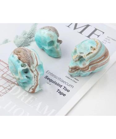Heteropolar Caribbean Stone Skull Healing Crystal Quratz Hand Carved Human Skull Pocket Statue Figurine Decor Energy Reiki Gemstone Collectible Figurine (Heteropolar Caribbean Stone- Skull) - Buy Online on GoSupps.com