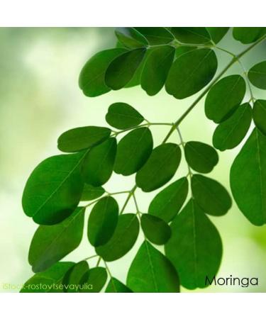 Telomit D3K2plus Formula - Moringa Powder Capsules for Enhanced Immune Support | Buy Internationally - Buy Online on GoSupps.com