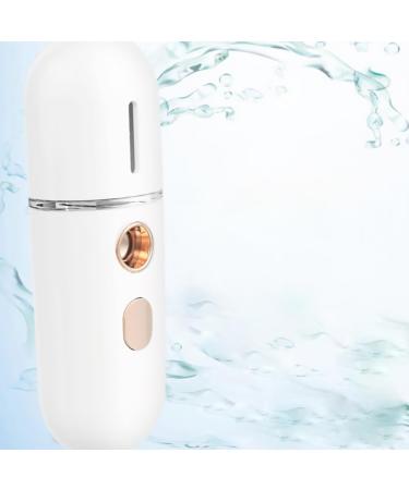 Healifty Vaporisateur Nanom trique Visage Portable 1 Pi ce Appareil Facial Hydratant pour Soins de Beaut Brume Fine pour Peau S che et Renouvellement Cellulaire Compact et L ger Usage - Buy Online on GoSupps.com