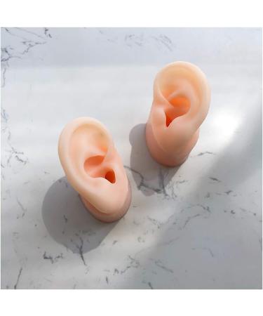 Simulation Silicone Left Ear Model Soft Silicone Artificial Ear Model for Ear Picking Practice Long Ear Canal for Teaching Students Simulation Display Props Teaching Tools Jewelry Display. - Buy Online on GoSupps.com