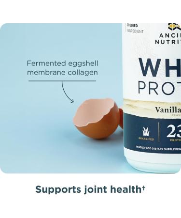 Ancient Nutrition Grass-Fed Whey Protein Powder Milk Chocolate 20 Servings + Grass-Fed Whey Protein Powder Vanilla Bean 20 Servings - Buy Online on GoSupps.com