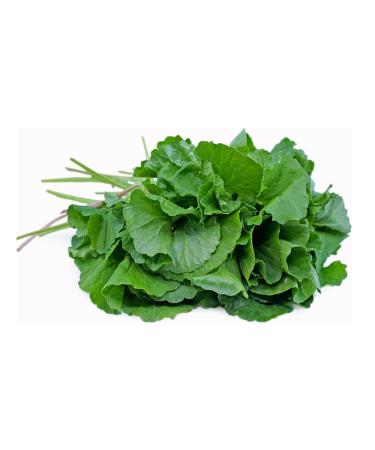 Fresh Vallarai Leaves Bunch | Single Bunch | Vallarai Keerai | Gotu Kola | Green leafy | Healthy | Used Cooking for Juice & Soup etc.. | Approx 200G - Buy Online on GoSupps.com