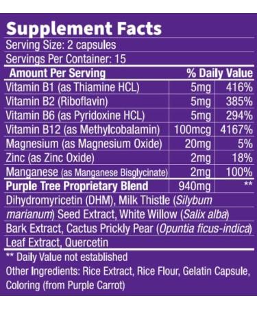 Purple Tree Celebration Pills | Rapid Hydration & Liver Detox | DHM, Milk Thistle, Electrolytes, Vitamin B, Willow Bark & Quercetin | 30 Count - Buy Online on GoSupps.com