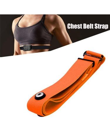 FITTG 2 Elastic Bands for Geonaute H7 Heart Rate Chest Strap - Orange | International Shipping Available - Buy Online on GoSupps.com