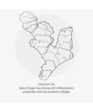 Green People Quinoa & Calendula Hand & Body Lotion 200ml | Natural Organic Body Moisturiser | Nourishing Aloe Vera Body Lotion with for Dry Hands & Legs | Citrus & Ginger Scent | Vegan Cruelty Free - Buy Online on GoSupps.com