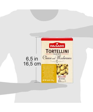 Tortellini Cheese and Mushroom 8.5 oz - Pack of 2 | Delicious Italian Pasta - Buy Online on GoSupps.com