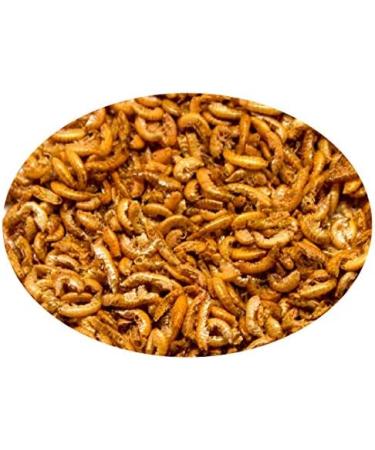 Haquoss Gammarus Natural Dried Shrimp Food for Aquatic Turtles 100 ml/11 GR - Buy Online on GoSupps.com
