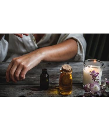 Black Cherry Essential Oil - 100% Pure Grade Essential Oil by Nature's Note Organics - 0.3 Fl Oz 1 Fl Oz (Pack of 1) - Buy Online on GoSupps.com