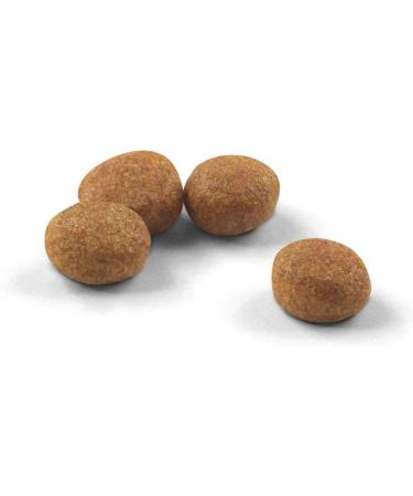 Royal Canin Breed Nutrition Rottweiller 26 - Croquettes 12 kg - Buy Online on GoSupps.com