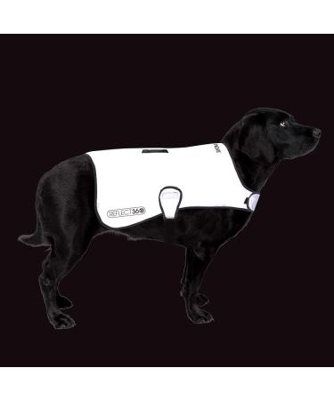 Proviz Sports 100% Reflective High-Vis Waterproof Dog Coat | Best for Safety & Comfort | International Shipping - Buy Online on GoSupps.com