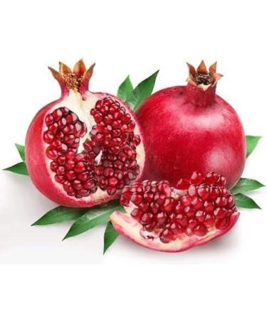 ORGANIZE Pomegranate peel powder 227 g - Buy Online on GoSupps.com