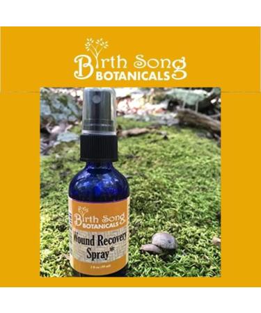 Birthing Song Botanicals Antiseptic Wound Recovery Spray - 2oz Bottle - Buy Online on GoSupps.com