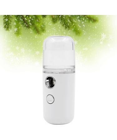 Mini Humidificateur Portable Spray Nano Hydratant Visage Compact Blanc Vaporisateur d'Air Mini pour Soins Peau et Hydratation en D placement - Buy Online on GoSupps.com