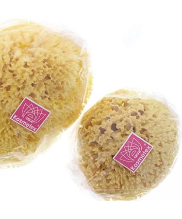 Natural Mediterranean Bath Sponge - Kosmetex (12 cm) - Eco-Friendly | Shop Now for Quality & Size Variety - Buy Online on GoSupps.com