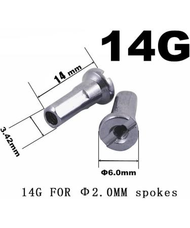 SENQI Bike Spokes Nipples End Caps - 36 Pcs Silver Decor for 14G Mountain & Road Bikes - Buy Online on GoSupps.com