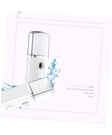 Healeved 3 Pcs Fashion Mist Sprayer Steamer Creative Nano Mist Sprayer Mini Face Spray Device - Buy Online on GoSupps.com