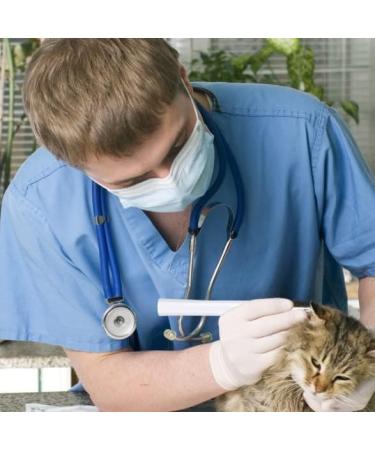 KANDUO Ear Curette Ear Wax Removal Tool Wireless Ear Wax Remover Otoscope 3.9 mm Visual Ear Cleaning Camera Luminous Ear Scoop for Adults Kids & Pets - Buy Online on GoSupps.com