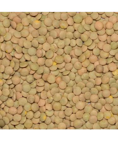 Wholefood Earth Organic Green Lentils 3kg - GMO Free, Vegan, Certified Organic - Buy Online on GoSupps.com