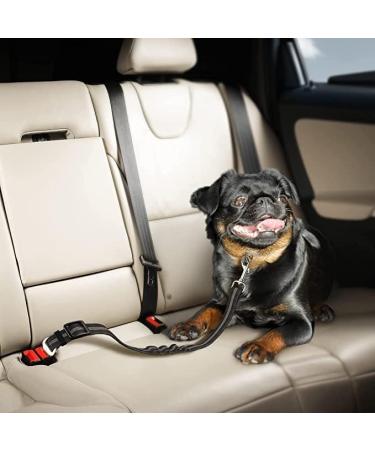 Razor Belt Dog Car Harness Extension | Padded Leash & Universal Carabiner for Safe Dog Travel - Buy Online on GoSupps.com
