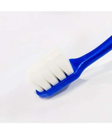 Zumaha Compact Ultra-Like Toothbrush for Adults & Kids - 10 000 Bristles 10 Travel Toothbrushes Ergonomic Design for Optimal Oral Care - Buy Online on GoSupps.com
