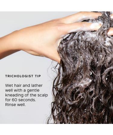  Philip Kingsley Philip Kingsley Rehydrating Smoothing Shampoo for Curly Frizzy Wavy Dry Coarse Hair - Moisturizing Shampoo Re-Moisturizing & Smoothing - 170ml - Buy Online on GoSupps.com