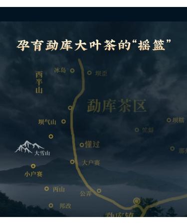Pu-erh tea 2021 SHENG JIA YUAN 200 357g Raw - Buy Online on GoSupps.com