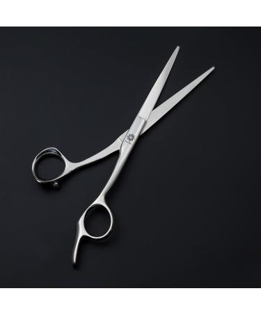 Dream Reach 5.5/6.0 inch Lightweight Professional Barber Hair Cutting Scissors Salon Razor Edge Japanese Stainless Steel Hairdressing Scissors. Hair Styling Trimming & Cutting Shears (6.0 Inch) 6.0 Inch Silver - Buy Online on GoSupps.com