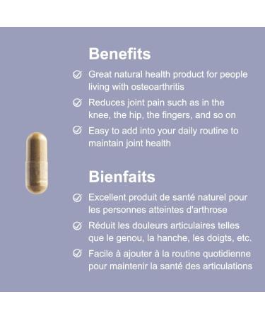 Arctica Food Sea cucumber & Glucosamine Complex Capsule Joint Health 600 mg 120 caps (1) - Buy Online on GoSupps.com