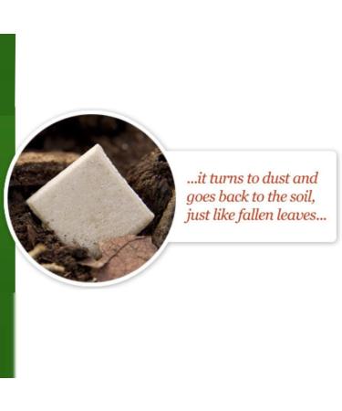 Mixed Berry - CHICZA - Certified Organic Rainforest Chewing Gum (1 Box) - Buy Online on GoSupps.com