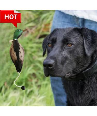 Dog Training Duck Dummy Gun Dog Training Dummy With Throwing Toggle Dog Retrieve Dummy Bird Dummy Dog Training For Puppies Or Adult Hunting Dogs - Buy Online on GoSupps.com