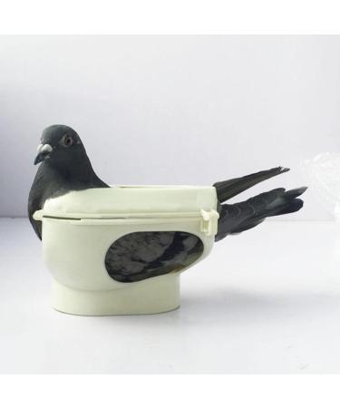 Fenteer Pigeon Holder Feeder | Fixed Mounting Frame & Feeding Tools for Pet Birds & Doves | International Shipping Available - Buy Online on GoSupps.com