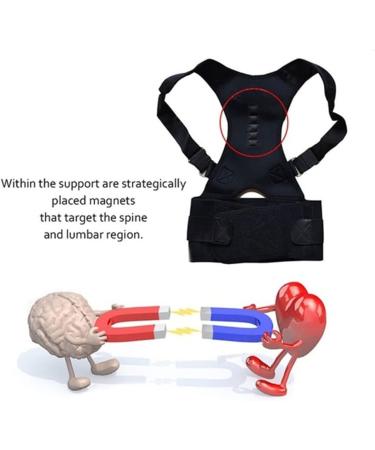 YMGSCC Adjustable Magnetic Posture Back Support Corrector Belt Band Brace Shoulder Lumbar Strap(L) Large B - Buy Online on GoSupps.com