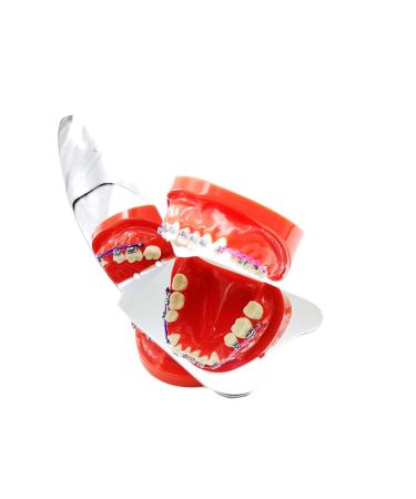 Sino Dental Intraoral Mirrors Double Sided Photography Mirror | Anti-Scratch Rhodium Plated Surface - Buy Online on GoSupps.com