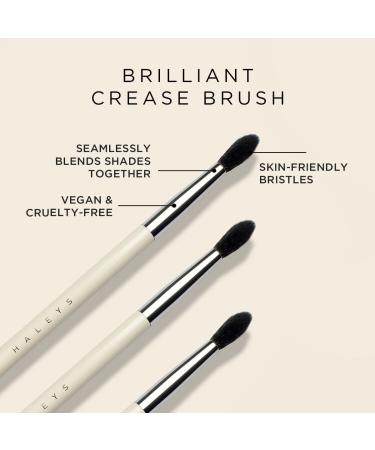 HALEYS Crease Eyeshadow Brush - Medium Fluffy Tapered Makeup Tool for Seamless Blending | Vegan High-End Synthetic Bristles | Perfect for Cream & Powder - Buy Online on GoSupps.com