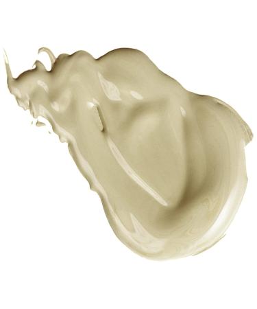 SHANY Oil Control Mattifier - Paraben & Talc Free - 0.5 oz Airless Pump - Buy Online on GoSupps.com