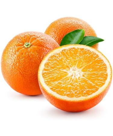 Preema | Orange Flavouring Essence (3X28ml)| Prefect For Baking - Buy Online on GoSupps.com