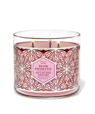 Blush Poinsettia 3 Wick Candle 14.5 oz / 411 g