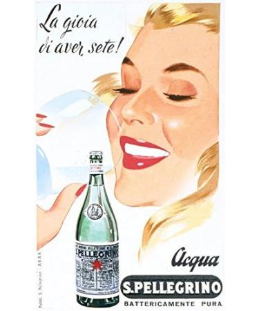  2CS Sanpellegrino (San Pellegrino) (500mlX24 pr sent) bo tes X2 marchandises import es r guliers  - Buy Online on GoSupps.com