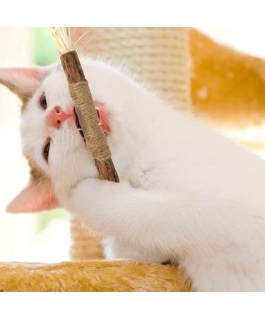 Organic Cat Mint Sticks - 6PCs Dental Chew Toys for Cats | Tooth Cleaning & Fresh Breath - Buy Online on GoSupps.com