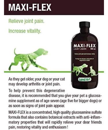 HIPS & Joints Pain Relief for Pets - Natural Formula with Glucosamine with Anti-Inflammatory Extract Natural Beef Flavor - 500ml GMO Free Gluten Free Sugar Free - Made in Canada - Buy Online on GoSupps.com