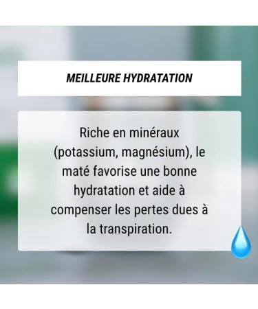  FRATE MATE Frat Mate Energy Drink Sport | Energy Drink Mate with Natural Caffeine (250ml Green Tea) - Buy Online on GoSupps.com