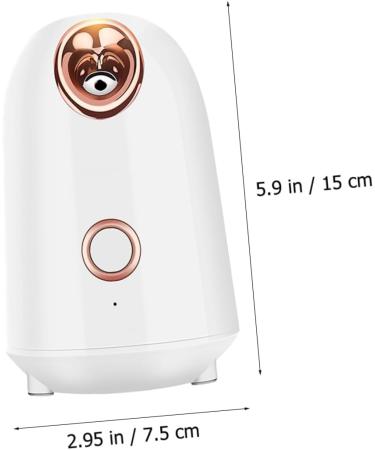 FOMIYES Water Replenishing Instrument Steamer Portable Humidifiers Nano Sprayer Skin Care - Buy Online on GoSupps.com